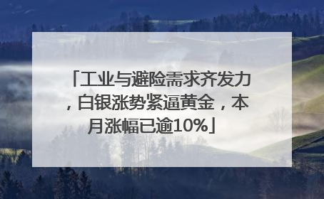 工业与避险需求齐发力，白银涨势紧逼黄金，本月涨幅已逾10%