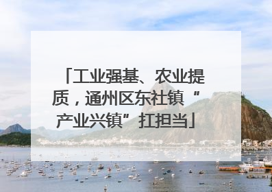 工业强基、农业提质，通州区东社镇“产业兴镇”扛担当