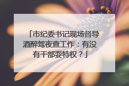 市纪委书记现场督导酒醉驾夜查工作：有没有干部耍特权？