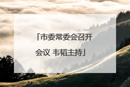 市委常委会召开会议 韦韬主持