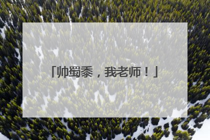 帅蜀黍，我老师！