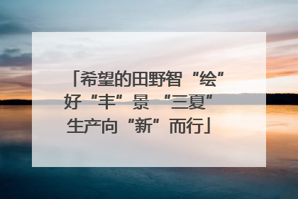 希望的田野智“绘”好“丰”景 “三夏”生产向“新”而行