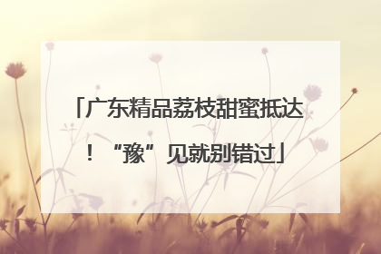 广东精品荔枝甜蜜抵达！“豫”见就别错过