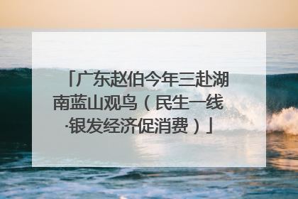 广东赵伯今年三赴湖南蓝山观鸟（民生一线·银发经济促消费）