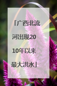 广西北流河出现2010年以来最大洪水