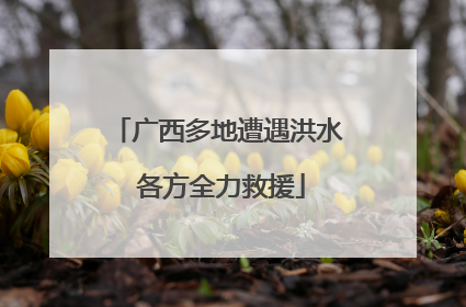广西多地遭遇洪水 各方全力救援