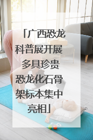 广西恐龙科普展开展 多具珍贵恐龙化石骨架标本集中亮相