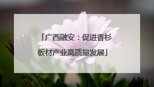 广西融安：促进香杉板材产业高质量发展