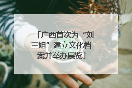 广西首次为“刘三姐”建立文化档案并举办展览