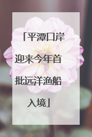 平潭口岸迎来今年首批远洋渔船入境