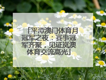 平潭澳门体育月冠军之夜：赛事冠军齐聚，见证岚澳体育交流高光