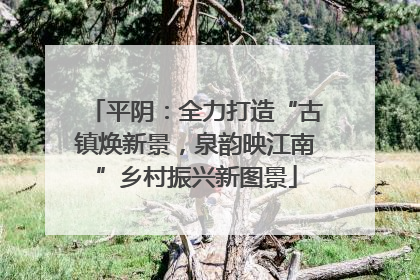 平阴：全力打造“古镇焕新景，泉韵映江南”乡村振兴新图景