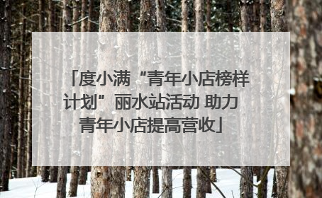 度小满“青年小店榜样计划”丽水站活动 助力青年小店提高营收