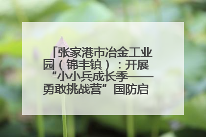 张家港市冶金工业园（锦丰镇）：开展“小小兵成长季——勇敢挑战营”国防启蒙教育活动