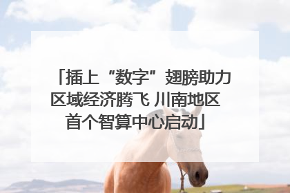 插上“数字”翅膀助力区域经济腾飞 川南地区首个智算中心启动