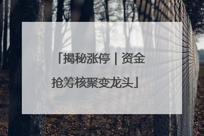 揭秘涨停｜资金抢筹核聚变龙头