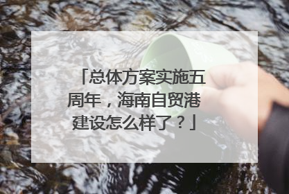 总体方案实施五周年，海南自贸港建设怎么样了？