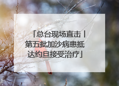 总台现场直击丨第五批加沙病患抵达约旦接受治疗