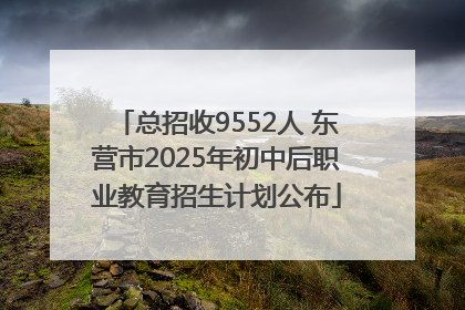 总招收9552人 东营市2025年初中后职业教育招生计划公布