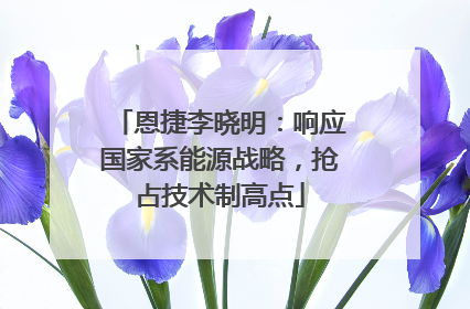 恩捷李晓明：响应国家系能源战略，抢占技术制高点