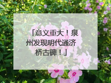 意义重大！泉州发现明代通济桥古碑！