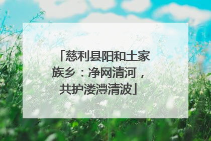 慈利县阳和土家族乡：净网清河，共护溇澧清波