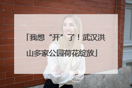 我想“开”了！武汉洪山多家公园荷花绽放