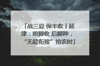 战三夏 保丰收丨延津：前脚收 后脚种，“无缝衔接”抢农时