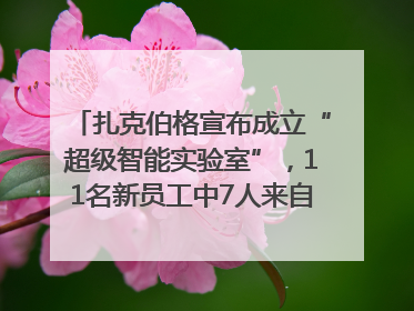 扎克伯格宣布成立“超级智能实验室”，11名新员工中7人来自OpenAI