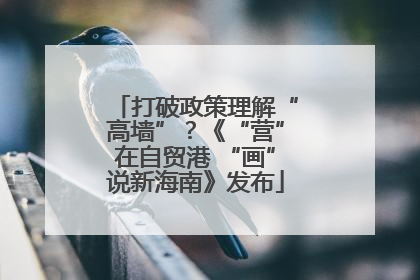 打破政策理解“高墙”？《“营”在自贸港 “画”说新海南》发布
