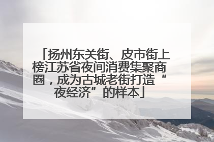 扬州东关街、皮市街上榜江苏省夜间消费集聚商圈，成为古城老街打造“夜经济”的样本