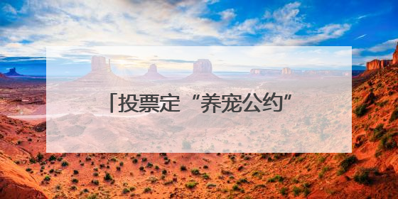 投票定“养宠公约”、为爱宠做牵引绳、比拼谁家人宠最默契，这场活动有趣更有意义