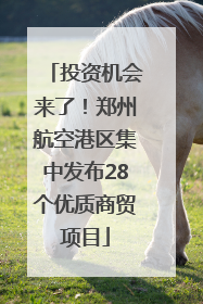 投资机会来了！郑州航空港区集中发布28个优质商贸项目