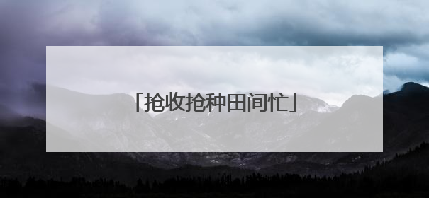 抢收抢种田间忙