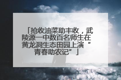 抢收油菜助丰收，武陵源一中数百名师生在黄龙洞生态田园上演“青春助农记”