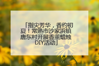 指尖芳华，香约初夏！常熟市沙家浜镇唐东村开展香薰蜡烛DIY活动