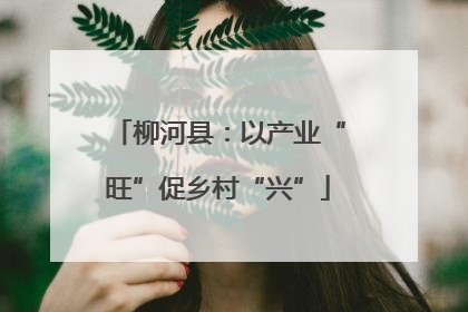 柳河县：以产业“旺”促乡村“兴”