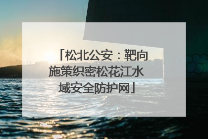 松北公安：靶向施策织密松花江水域安全防护网