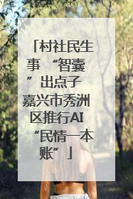 村社民生事 “智囊”出点子 嘉兴市秀洲区推行AI“民情一本账”