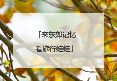 来东郊记忆 看旅行蛙蛙