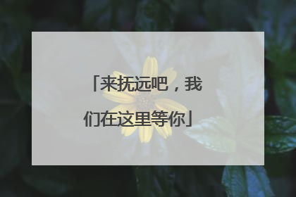 来抚远吧，我们在这里等你