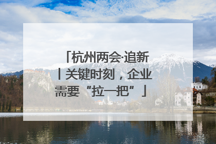 杭州两会·追新丨关键时刻，企业需要“拉一把”