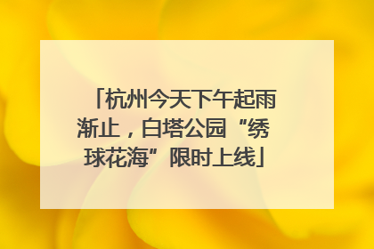 杭州今天下午起雨渐止，白塔公园“绣球花海”限时上线