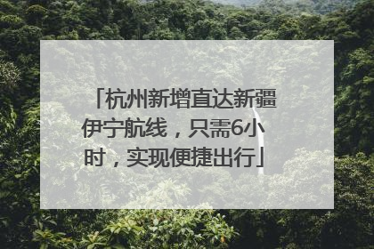 杭州新增直达新疆伊宁航线，只需6小时，实现便捷出行