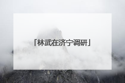 林武在济宁调研