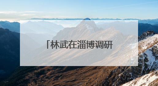 林武在淄博调研督导经济运行