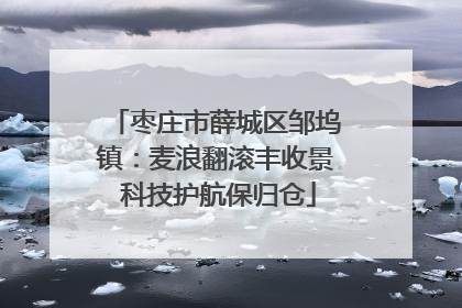 枣庄市薛城区邹坞镇：麦浪翻滚丰收景 科技护航保归仓