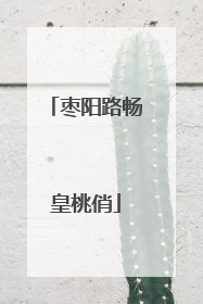 枣阳路畅皇桃俏