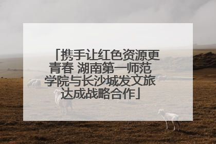 携手让红色资源更青春 湖南第一师范学院与长沙城发文旅达成战略合作