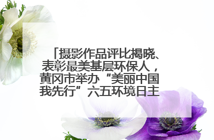 摄影作品评比揭晓、表彰最美基层环保人，黄冈市举办“美丽中国我先行”六五环境日主题宣传活动